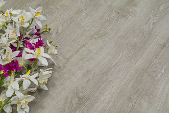 Кварцвиниловые полы FF-1900 Rich 1979 Дуб Малага фото 1 | FLOORDEALER